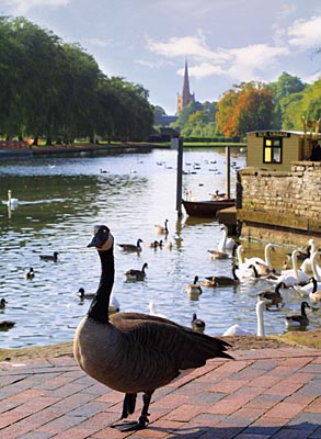 The River Avon at Stratford-upon-Avon