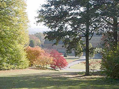 Batsford Arboretum near Chipping Campden  and Moreton in Marsh