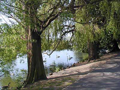 A Walk along The River Avon