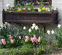 Front Garden at The Apothecary's B&B, Wellesbourne